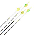 RZ3² PREMIUM CARBON ARROWS, BOXED 4PK, 30IN .003 BLAZER, CRE