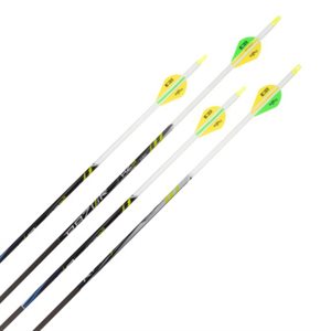 RZ3² PREMIUM CARBON ARROWS, BOXED 4PK, 30IN .003 BLAZER, CRE