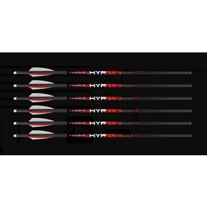 "HYPR™ 20"" CROSSBOW BOLTS 6PK"