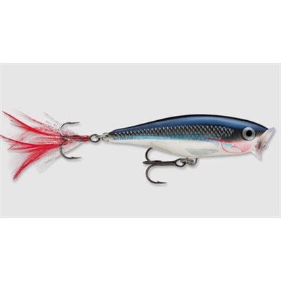 Skitter Pop 05 Shad