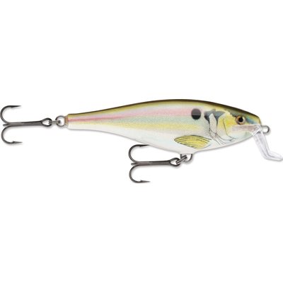 Super Shad Rap 14 Live River Shad