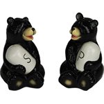 Salt and Pepper Shakers - Bear Holding