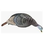 STRUT-LITE FEEDING HEN DECOY