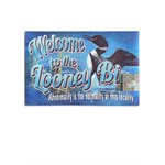 Door Mat Rubber 26in x 17in - Looney Bin