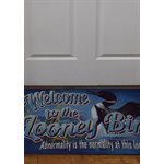 Door Mat Rubber 26in x 17in - Looney Bin