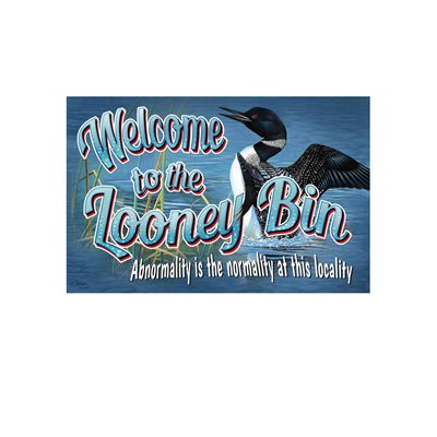 Door Mat Rubber 26in x 17in - Looney Bin